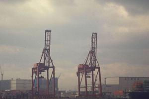 計器オンラインのネステックの製品について